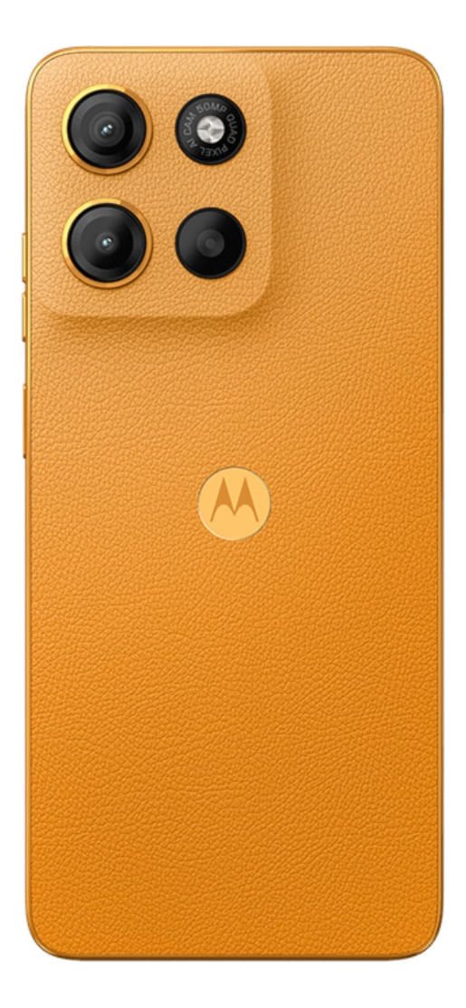 923910-MLA82787240537_022025