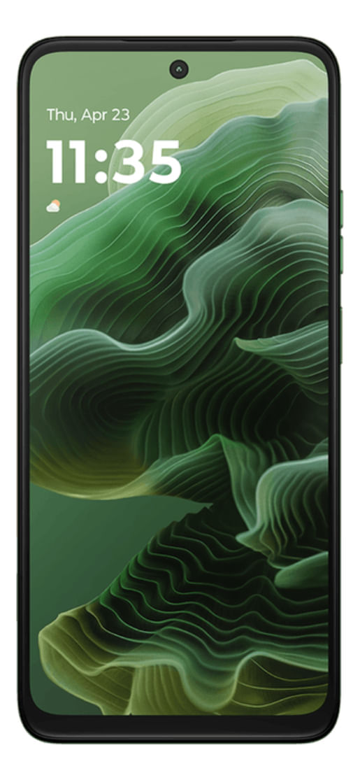 772479-MLA81063800151_112024