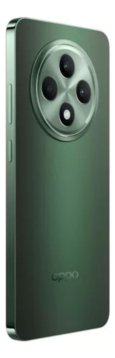 725912-MLA82398336352_022025